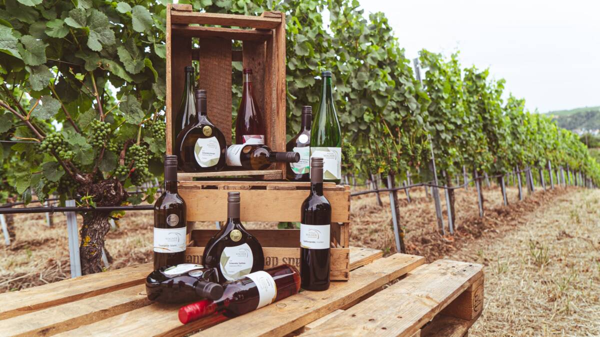 Weingut Wagner Sonnenhof